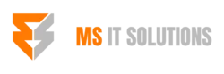 MSITS LOGO